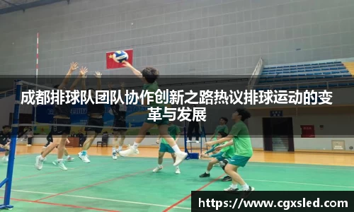 成都排球队团队协作创新之路热议排球运动的变革与发展