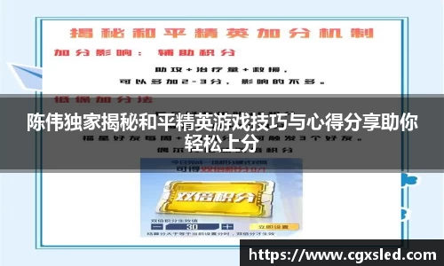 陈伟独家揭秘和平精英游戏技巧与心得分享助你轻松上分
