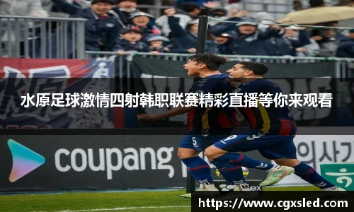 水原足球激情四射韩职联赛精彩直播等你来观看