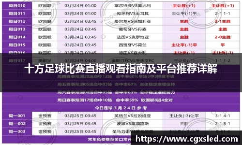 十方足球比赛直播观看指南及平台推荐详解